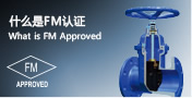 ʲôFM֤